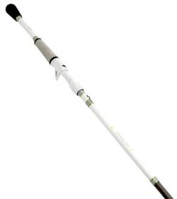 Lews Mach Speed Stick Casting Topwater/Jerkbait 6'8" 1pc M