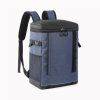 Double Shoulder Thermal Insulation Backpack for Outdoor Picnic